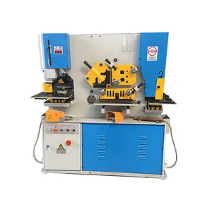 Combined Punching and Shearing Machine